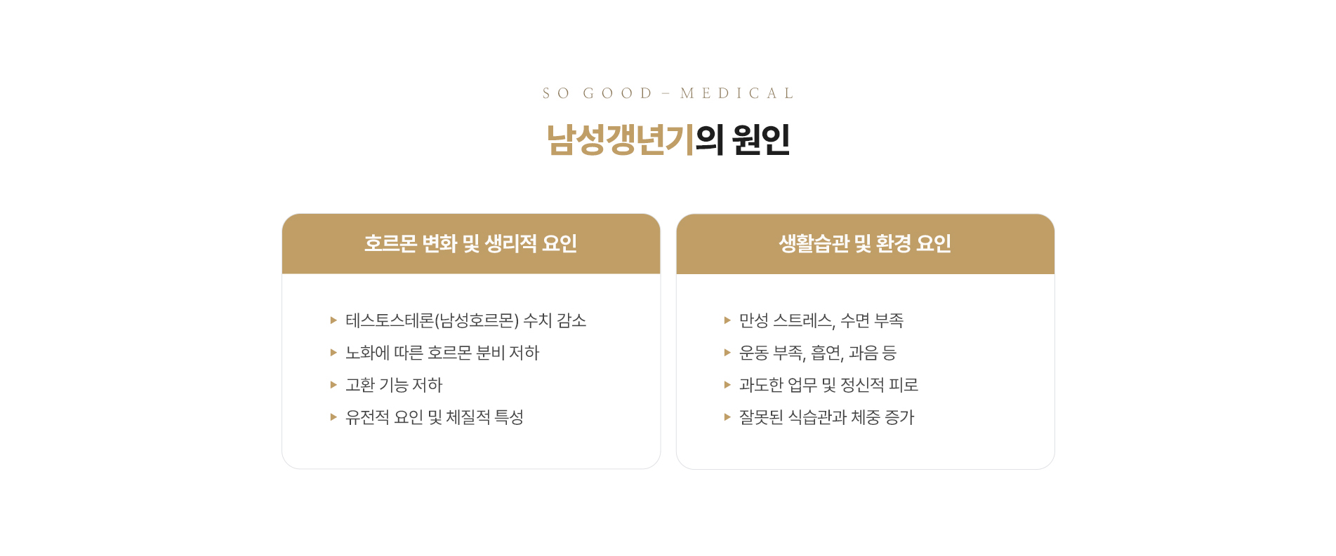 남성갱년기 원인